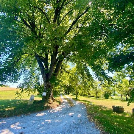 Gite De L'Edelinie Nanteuil-Auriac-de-Bourzac Eksteriør bilde