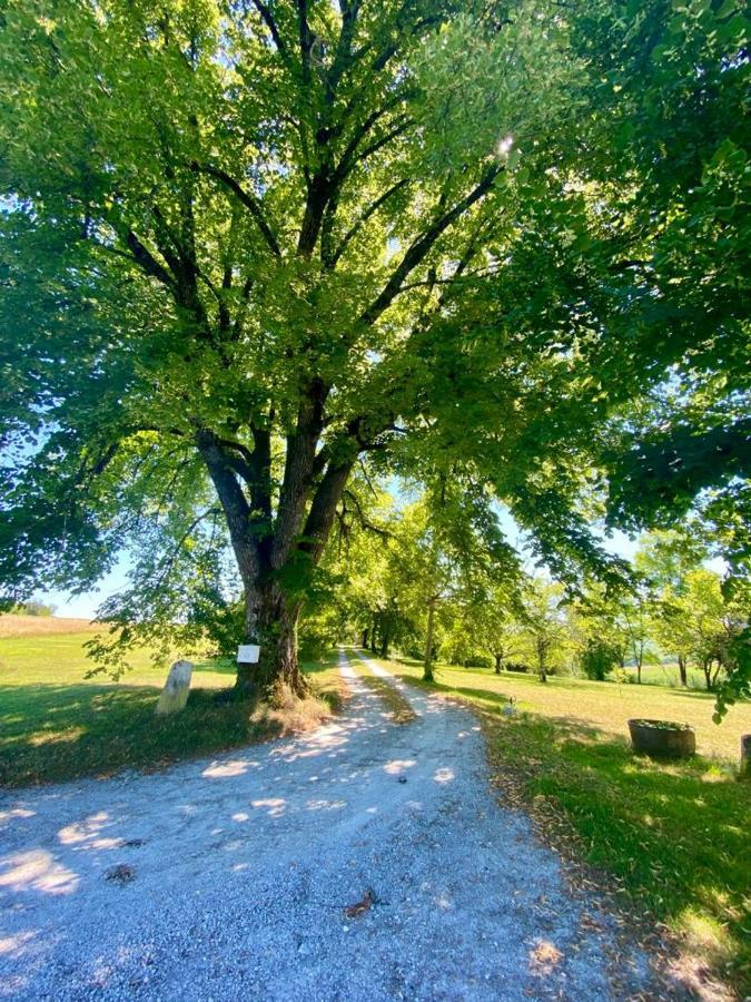 Gite De L'Edelinie Nanteuil-Auriac-de-Bourzac Eksteriør bilde